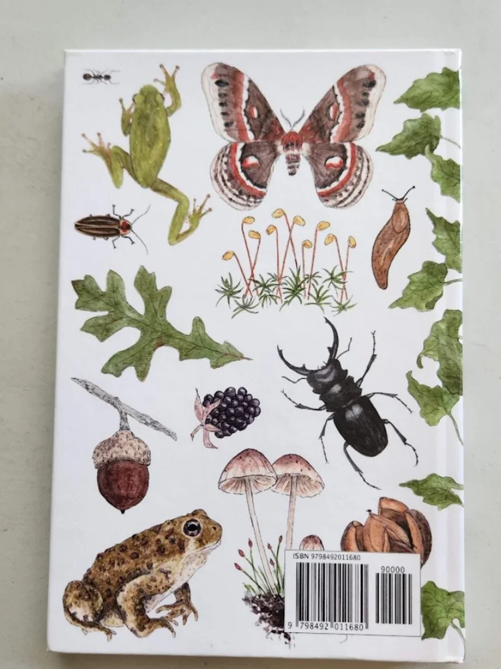 NEW Nature Journal for Kids Activity Book Notebook Hardcover Book Birdwatching B